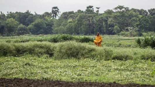 Prashanth Vishwanathan | Bloomberg | Getty Images