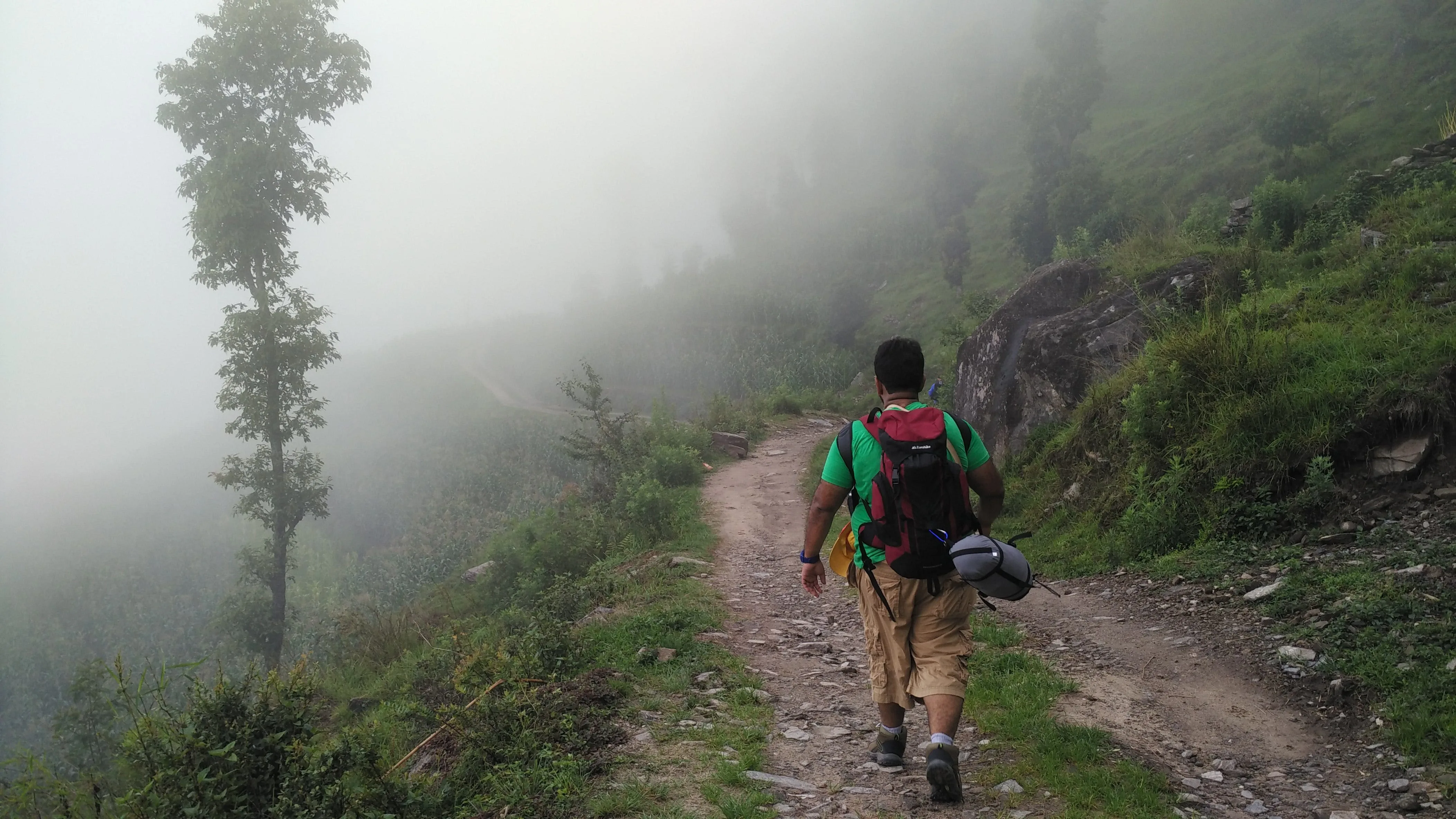 Dr. Tanha walking into the fog…