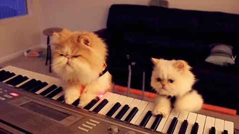 #SaveTheInternet by April 25 or the cat gets it… *meow*