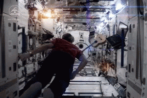 Space Chris GIF - Find & Share on GIPHY